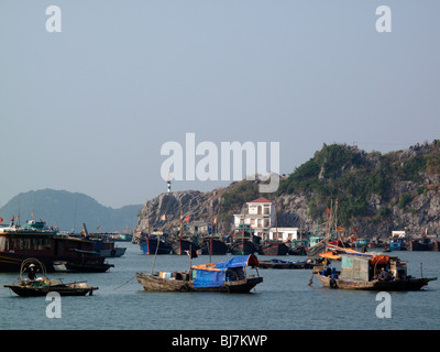 Boote im Hafen von Cat Ba Island in der Halong Bay, Nord-Vietnam Stockfoto