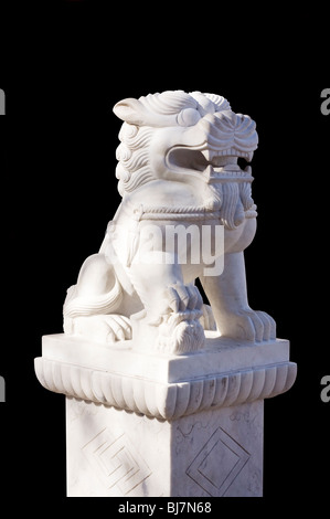 Schneiden Sie aus. Weißer Marmor chinesischen Fu Löwe Skulptur in Chinatown Bostons auf schwarzem Hintergrund. Stockfoto