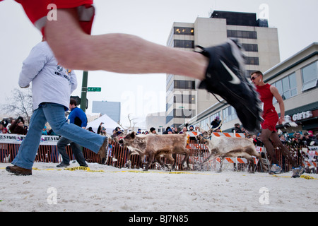 Anchorage Betrieb das Rentier Fell Rondezvous (Fur Rondy) 2010. Eine etwas kälter Version der Stierlauf. Stockfoto