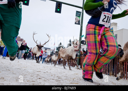 Anchorage Betrieb das Rentier Fell Rondezvous (Fur Rondy) 2010. Eine etwas kälter Version der Stierlauf. Stockfoto