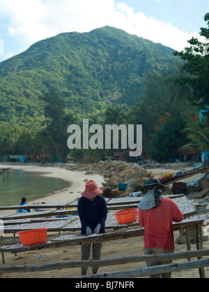 Thai Damen Tintenfisch in der Sonne trocknen auslegen Stockfoto