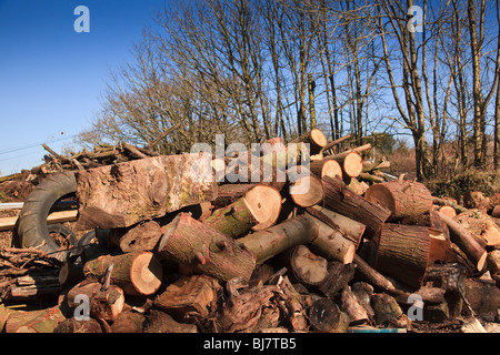 Ein Haufen von Protokollen für Brennholz trocknen an der frischen Luft, sie würzen Stockfoto