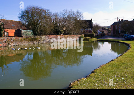 Urchfont Dorf Ententeich in Wiltshire UK Stockfoto