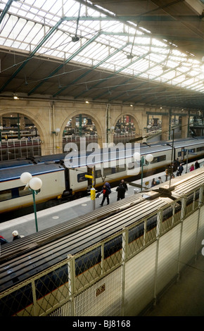 Eurostar-Züge warten auf den Plattformen der La Gare Du Nord Kanaltunnel link internationaler Bahnhof in Paris, Frankreich. Stockfoto