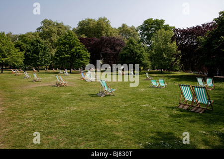 Viele leere Liegestühle im park Stockfoto