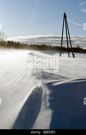 Schneesturm in Ragana Region Vidzeme Landschaft Lettlands gesehen Stockfoto