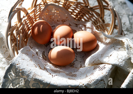 Braune Bioeier aus Käfig befreien, freilaufenden Hühnern gefüttert eine vegetarische Ernährung in einem handgewebten Reed Korb im morgendlichen Sonnenlicht. Stockfoto