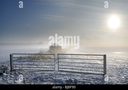 Die Sonne, die durch den Morgennebel scheint, verbreitet die Sonne über die Schneefelder Landschaft und Stahl Ackerland Zugangstore Essex England Großbritannien Stockfoto