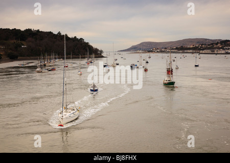 Boote, die in den schnell fließenden Strömungen des Flusses Conwy, Conwy Clywd, Wales liegen Stockfoto