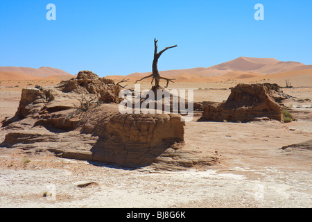 Afrika Dead Vlei Wüste Namib Namibia Sossusvlei Stockfoto