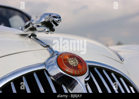 Nahaufnahme von vorne ein weißes 1967 Jaguar 3.4 Liter Mk2 "Typ Stockfoto