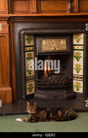 Heimischen Interieur, zufriedenes Haustier Katze ausgestreckt vor Feuer im Kamin und Kunsthandwerk Eiche Stockfoto