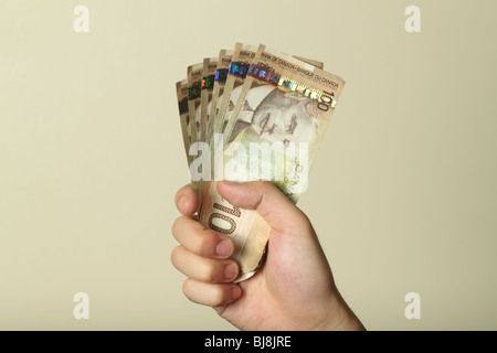 Eine Hand hält einen Stapel von kanadischen hundert-Dollar-Scheine. Stockfoto