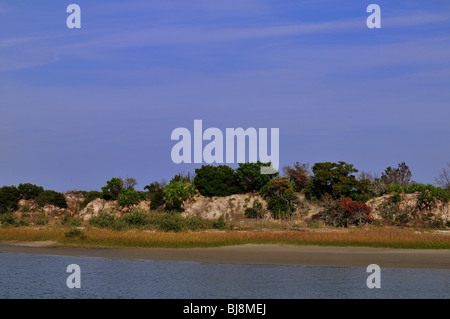 Dünen auf Anastasia Insel, in der Nähe von St. Augustine, Florida Stockfoto