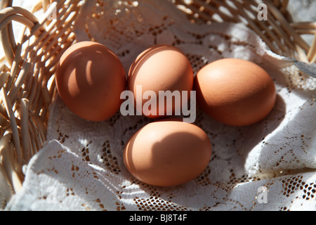 Braune Bioeier aus Käfig befreien, freilaufenden Hühnern gefüttert eine vegetarische Ernährung in einem handgewebten Reed Korb im morgendlichen Sonnenlicht. Stockfoto