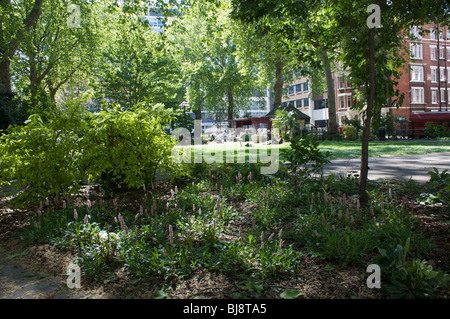 Verschiedene Szenen rund um Red Lion Square, London Stockfoto