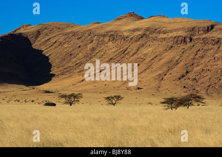 Afrika-Namibia Namib-Naukluft-Naukluft-Solitaire Stockfoto