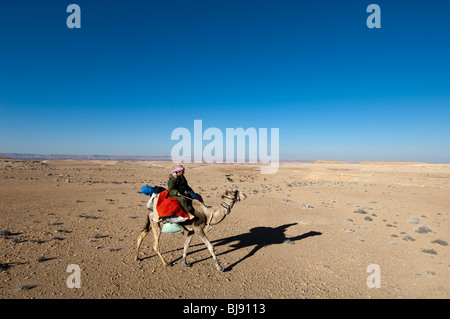 Eine einsame Kamel und Reiter durchqueren die Wüste Sinai in der Region des Jebel Gunah Stockfoto