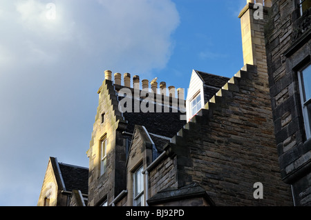 larus fuscus mit kleiner Schwarzrückenmöwe thront auf einem Dach in Edinburgh, Schottland, Großbritannien. Blauer Himmel, Kopierbereich Stockfoto