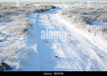 Am frühen Morgen in der Tundra, Churchill, Kanada Stockfoto