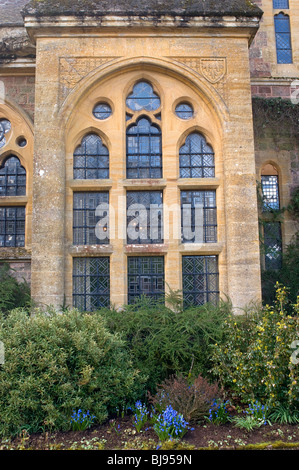 Gotisches Fenster - Johannes Gollop Stockfoto