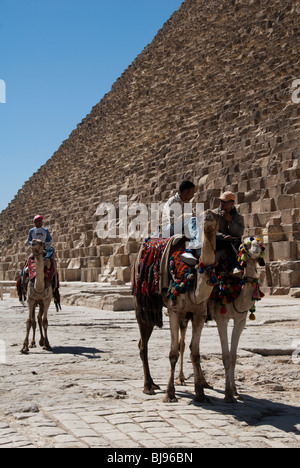 Kamel Fahrer bei den großen Pyramiden Gizeh-Ägypten Stockfoto