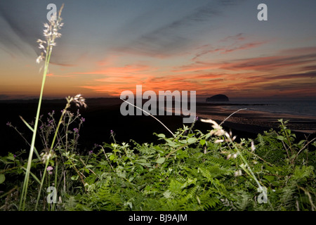 schottische Küste mit beleuchtet Sträucher im Vordergrund Stockfoto