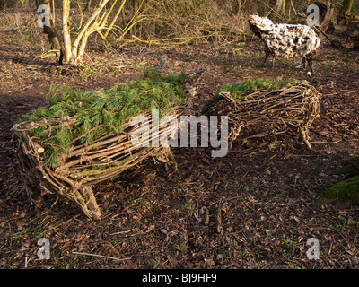 Woodland-Skulpturen bei Cambo in der Nähe von St Andrews, Fife, Schottland Stockfoto