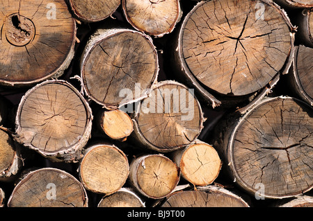 Haufen von Protokollen für Brennholz Stockfoto