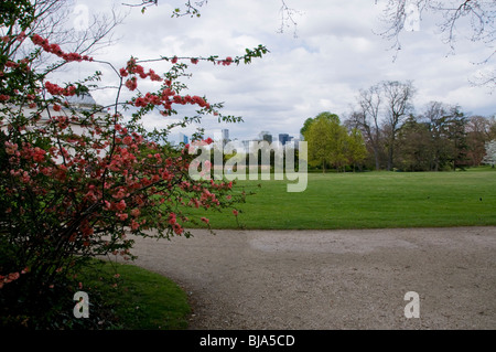 Paris, Frankreich, Stadtparks, Frühlingslandschaft, Besucher Des Rosengartens "Boulogne", Frühling Stockfoto