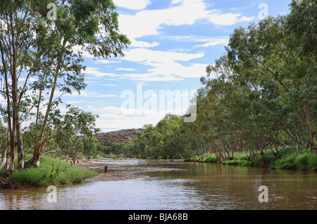 Schwimmen im Fluss Todd in Alice Springs Stockfoto