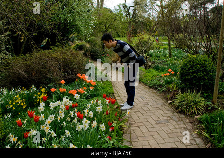 Paris, Frankreich - junger Mann Promenading im Urban Park, Pathway im Blumengarten, Urban Garden Landschaftspersonen, jardin de Bagatelle, französische Landschaft Umwelt Stockfoto