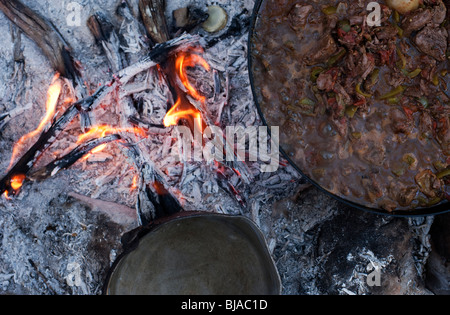 Känguru-Eintopf und ein Billy Wasser köcheln lassen ein Lagerfeuer auf Kangaroo Island, South Australia Stockfoto