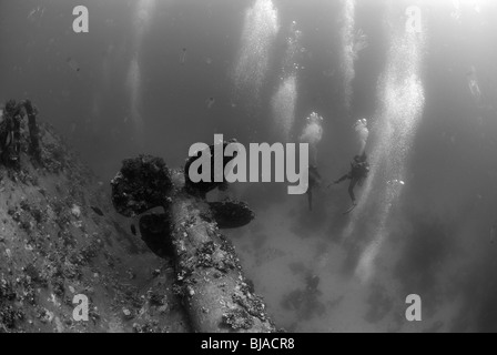 Propeller des Salem Express Wracks aus Safaga, Rotes Meer. Stockfoto