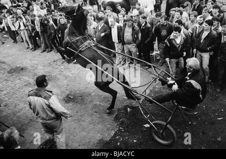 Ballinasloe Pferd Messe County Galway Irland Stockfoto