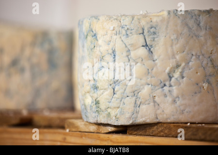 Ganze Runde Käse reift im Zimmer einer Molkerei Käse Stockfoto