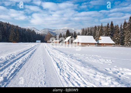 Winterlandschaft Chocholowska Tal, Tatra-Gebirge, Polen Stockfoto