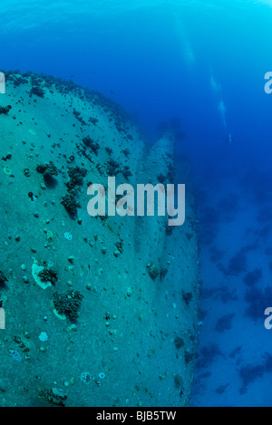 Propeller des Salem Express Wracks aus Safaga, Rotes Meer. Stockfoto