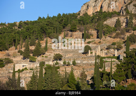 Fernsicht auf Tempel des Apollo in Delphi, Griechenland. Stockfoto