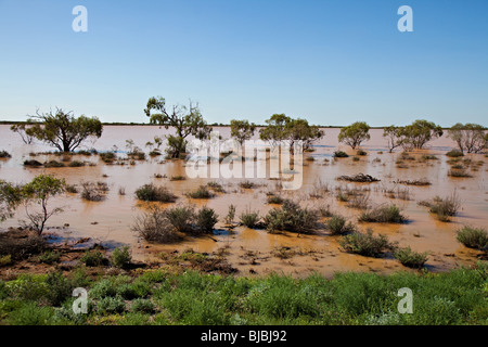 Überflutete australisches Outback nach starkem Regen in der Nähe von Wilcannia, NSW, Australien Stockfoto