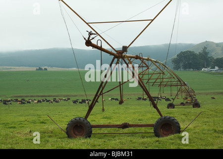 Center Pivot-Bewässerung-System auf einer Farm in den Midlands, Kwazulu Natal, Südafrika. Stockfoto