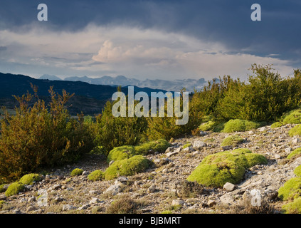 Anzeigen von oben das Dorf Las Bellostas in Richtung Monte Perdido, in der hohen Pyrenäen von Huesca Provinz, Nordspanien Stockfoto