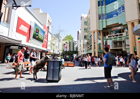 Rundle Street einkaufen, Adelaide, Südaustralien Stockfoto