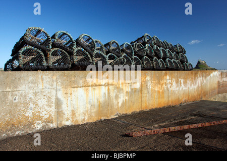 Hummer-Töpfe am Hafen Wand, Holy Island, Northumberland, England, UK Stockfoto
