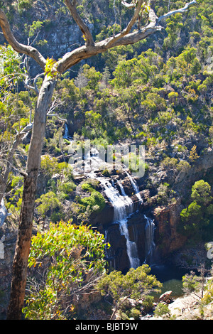 Mackenzie Falls, Grampians Nationalpark, Victoria, Australien Stockfoto