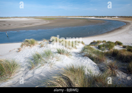 Mündung De Slufter Narture Reserve, bei Ebbe, Insel Texel, Holland Stockfoto