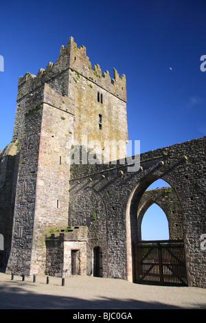 Tintern Abbey, Co. Wexford, Irland. Stockfoto