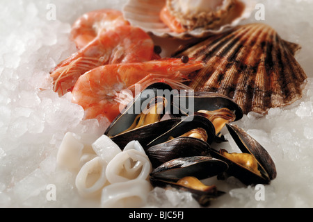 Frische Muscheln - Sscallops Muscheln, Garnelen - Stockfotos Stockfoto