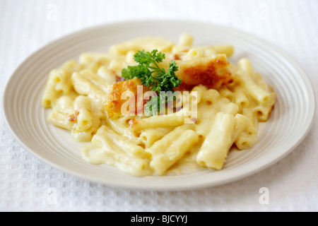 Frisch zubereiteten italienischen Stil Makkaroni Käse Pasta Mahlzeit ohne Menschen Stockfoto