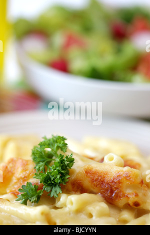 Frisch zubereiteten italienischen Stil Makkaroni Käse Pasta Mahlzeit ohne Menschen Stockfoto